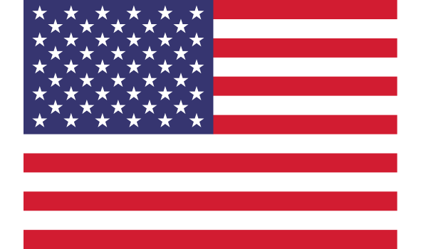 United States Flag Logo